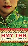 Book The Valley of Amazement free