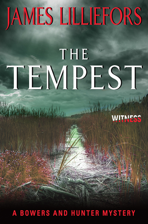 Book The Tempest: A Bowers and Hunter Mystery (Bowers and Hunter Mysteries Book 2) free