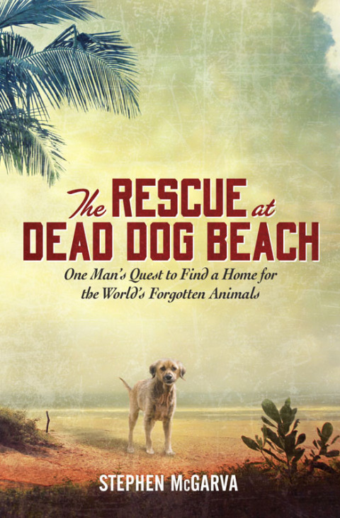 Book The Rescue at Dead Dog Beach: One Man's Quest to Find a Home For the World's Forgotten Animals free