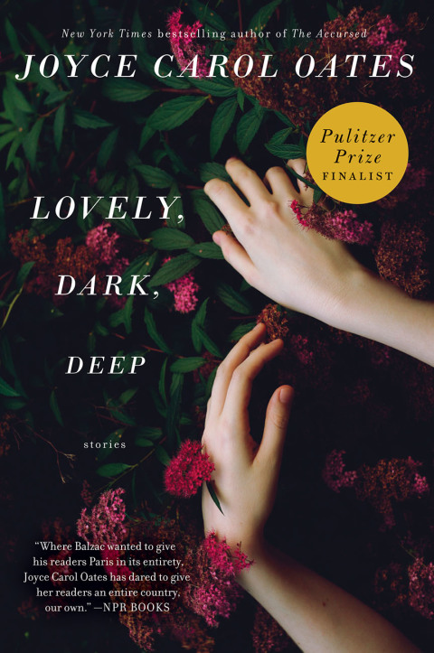 Book Lovely, Dark, Deep: Stories free