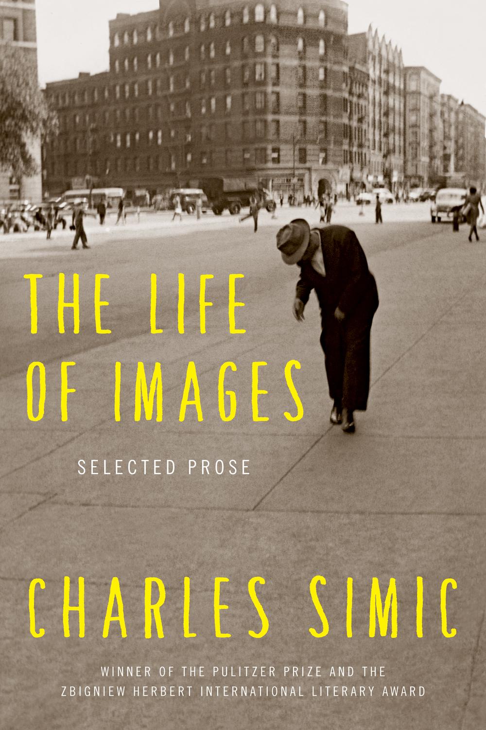 Book The Life of Images: Selected Prose free