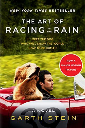Book The Art of Racing in the Rain Tie-in: A Novel free