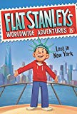 Book Flat Stanley's Worldwide Adventures #15: Lost in New York free