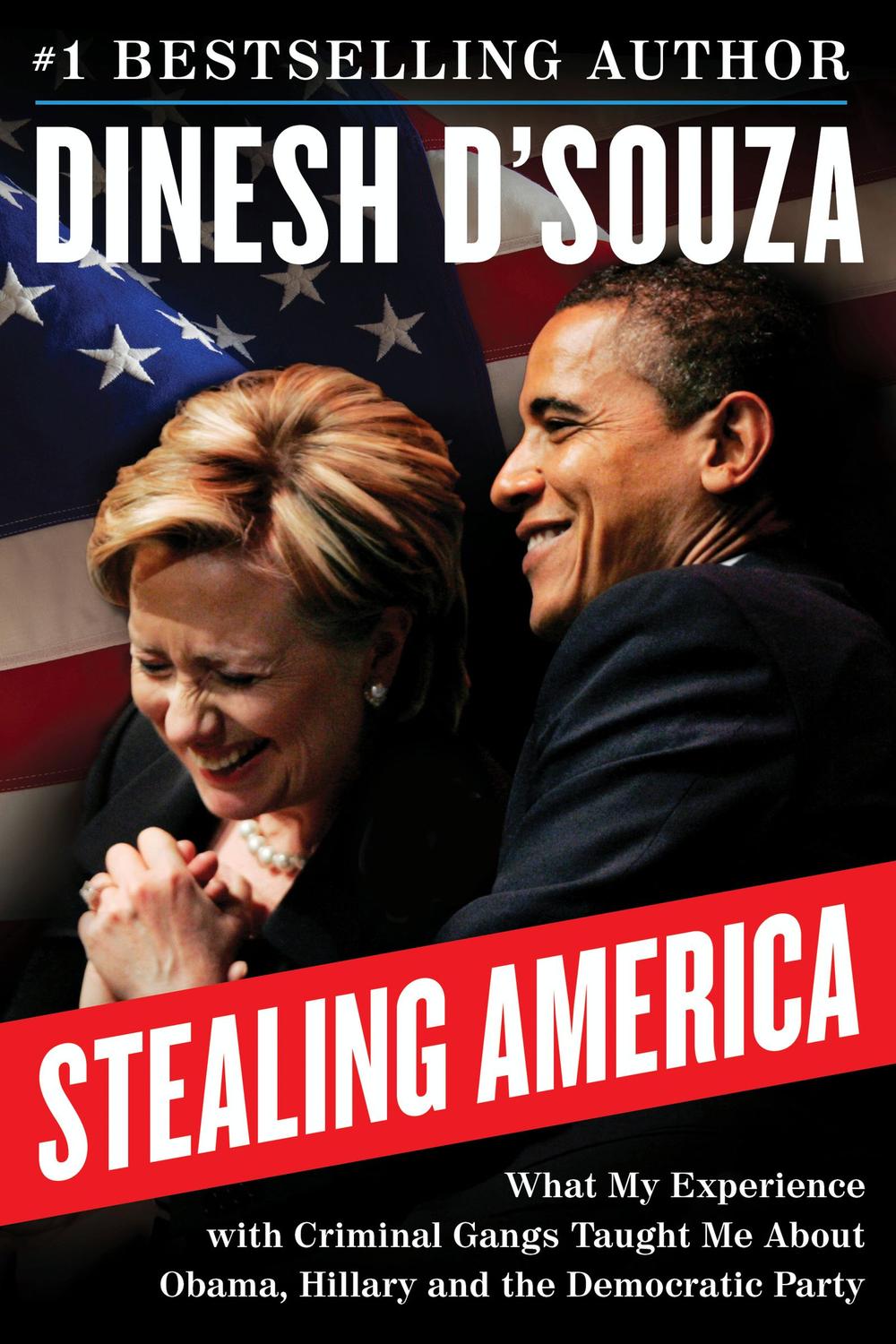 Book Stealing America: What My Experience with Criminal Gangs Taught Me about Obama, Hillary, and the Democratic Party free