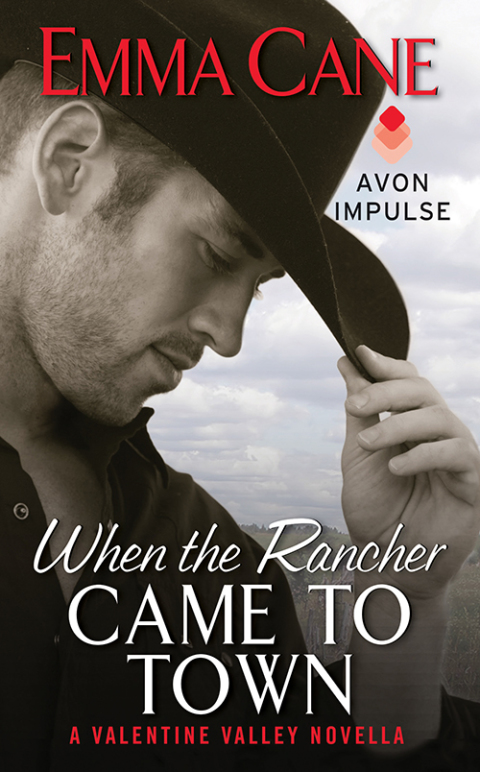 Book When the Rancher Came to Town: A Valentine Valley Novella free