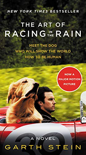 Book The Art of Racing in the Rain Movie Tie-in Edition: A Novel free