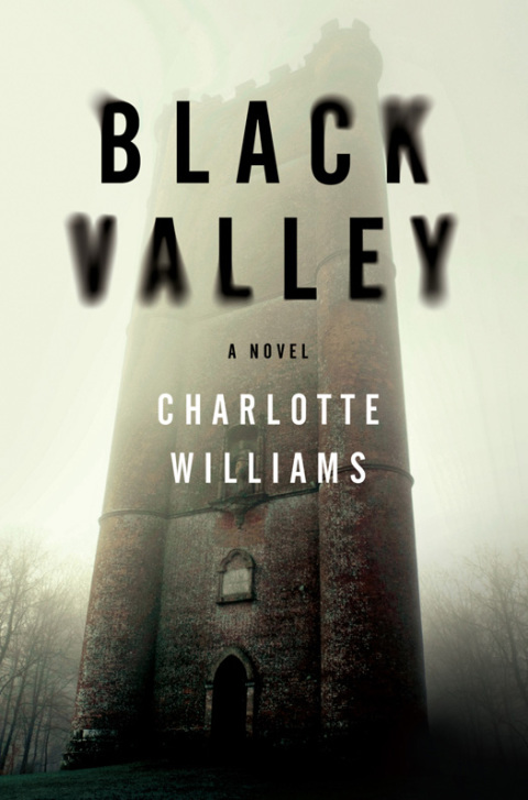 Book Black Valley free
