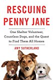 Book Rescuing Penny Jane: One Shelter Volunteer, Countless Dogs, and the Quest to Find Them All Homes free