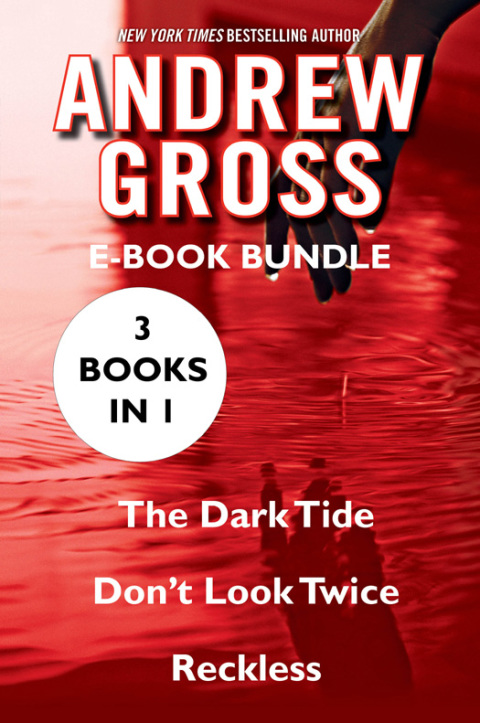 Book The Andrew Gross free