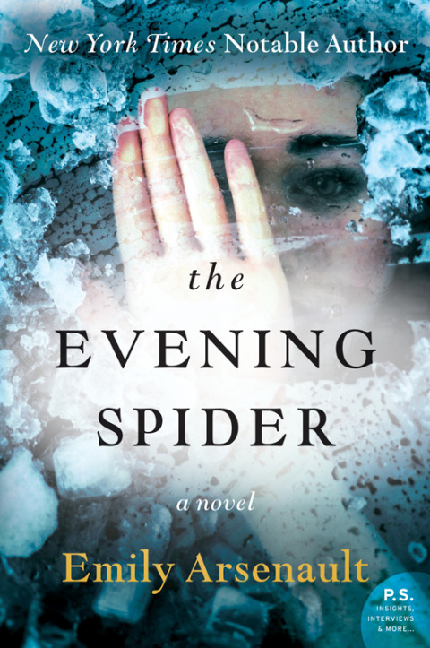 Book The Evening Spider: A Novel free
