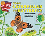 Book From Caterpillar to Butterfly (Let's-Read-and-Find-Out Science 1) free