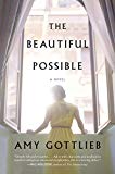 Book The Beautiful Possible: A Novel free