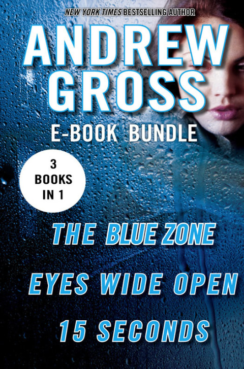 Book The Andrew Gross Thriller free