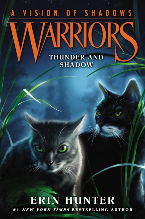 Book Warriors: A Vision of Shadows #2: Thunder and Shadow free