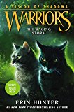 Book Warriors: A Vision of Shadows #6: The Raging Storm free