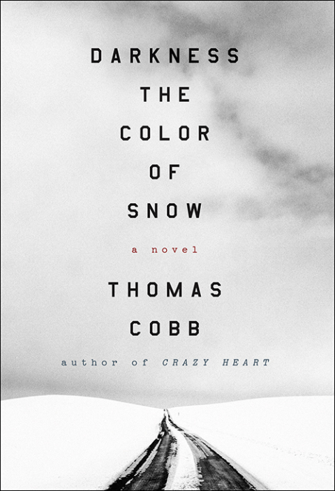 Book Darkness the Color of Snow: A Novel free