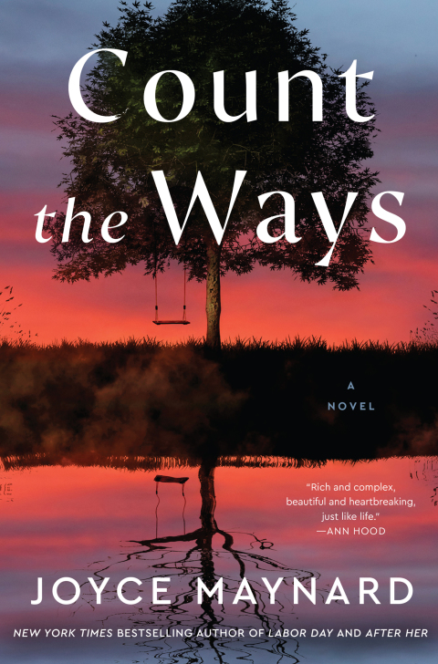 Book Count the Ways: A Novel free