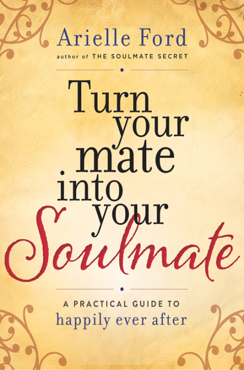 Book Turn Your Mate into Your Soulmate free