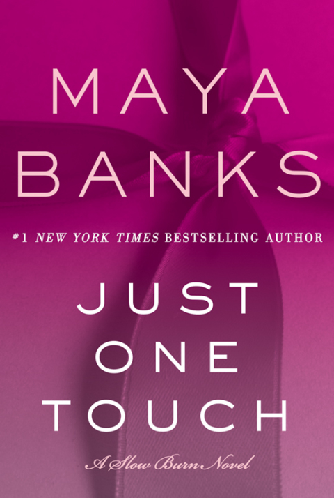Book Just One Touch: A Slow Burn Novel (Slow Burn Novels Book 5) free