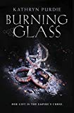 Book Burning Glass free