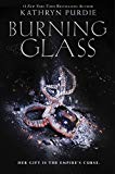 Book Burning Glass (Burning Glass, 1) free