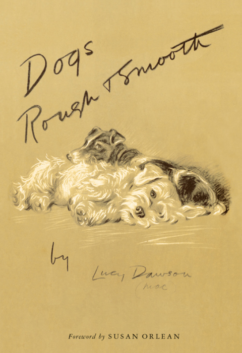 Book Dogs Rough and Smooth free