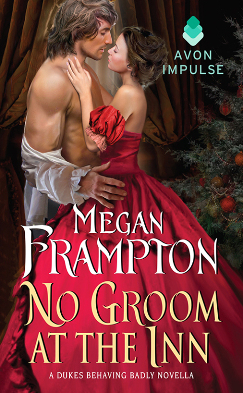 Book No Groom at the Inn free