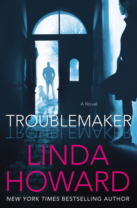 Book Troublemaker: A Novel free