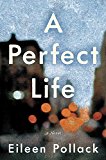 Book A Perfect Life: A Novel free
