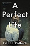 Book A Perfect Life: A Novel free