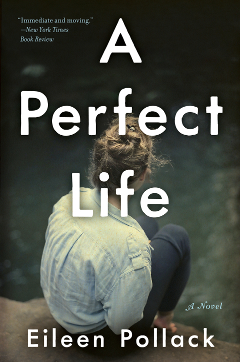 Book A Perfect Life free