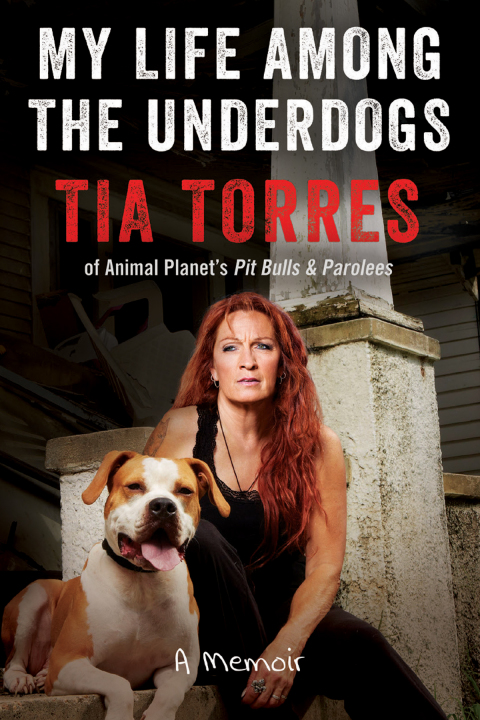 Book My Life Among the Underdogs free