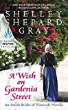 Book A Wish on Gardenia Street: An Amish Brides of Pinecraft Novella free