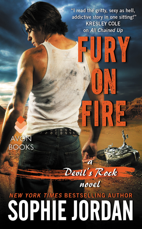Book Fury on Fire: A Devil's Rock Novel free