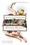 Book After the Fireworks: Three Novellas free
