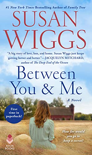 Book Between You and Me: A Novel free