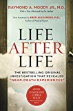 Book Life After Life: The Bestselling Original Investigation That Revealed "Near-Death Experiences" free