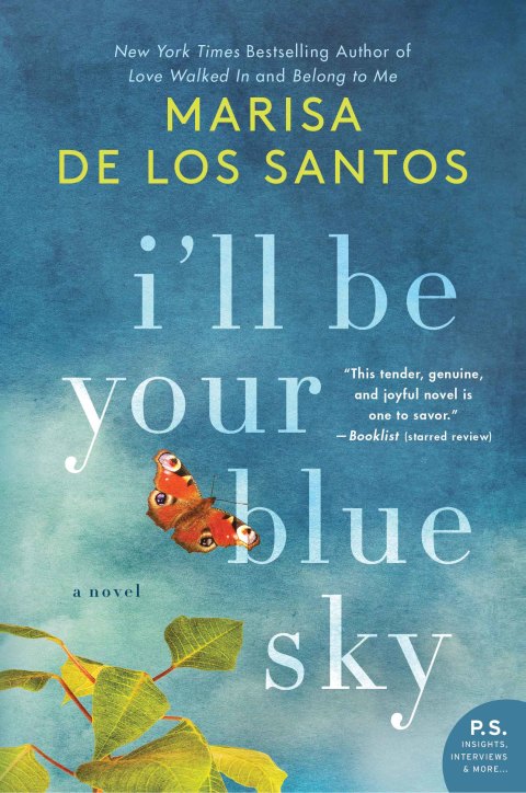 Book I'll Be Your Blue Sky: A Novel free