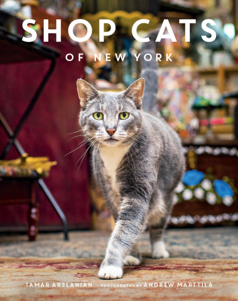 Book Shop Cats of New York free