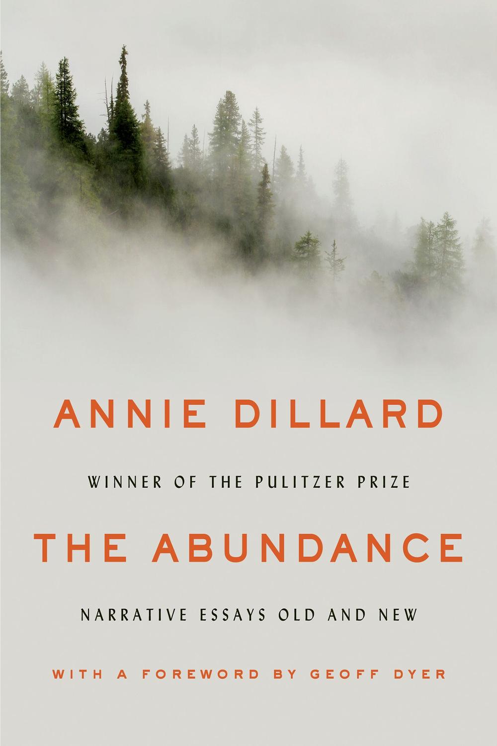 Book The Abundance: Narrative Essays Old and New free