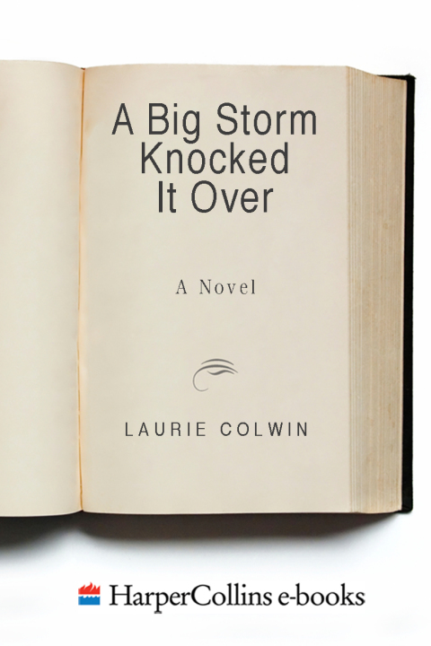 Book A Big Storm Knocked It Over: A Novel free