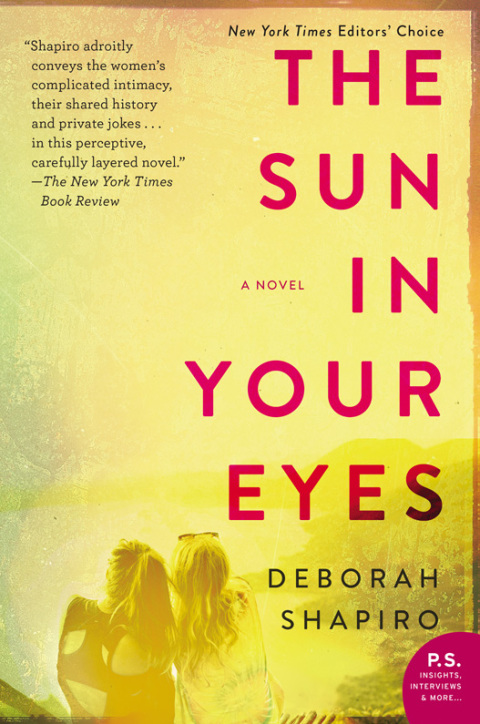 Book The Sun in Your Eyes: A Novel free