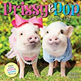 Book Prissy & Pop: Big Day Out free