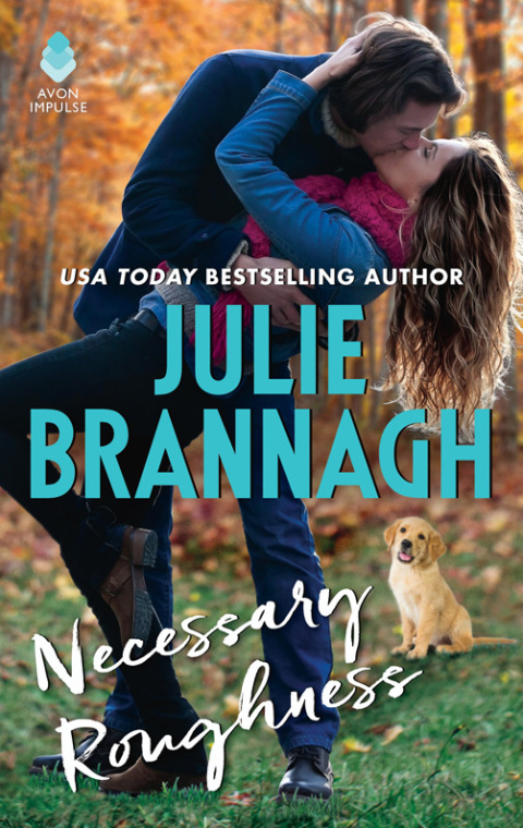Book Necessary Roughness free