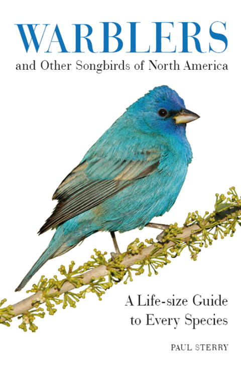 Book Warblers and Other Songbirds of North America free