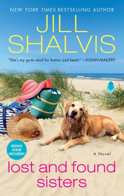 Book Lost and Found Sisters: A Novel (The Wildstone Series Book 1) free