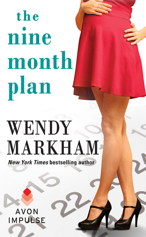 Book The Nine Month Plan free