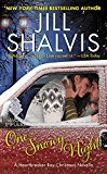 Book One Snowy Night: A Heartbreaker Bay Christmas Novella free