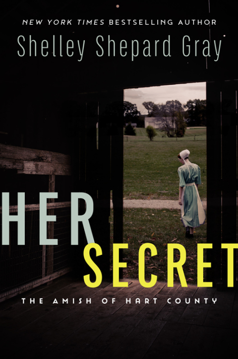 Book Her Secret: The Amish of Hart County free
