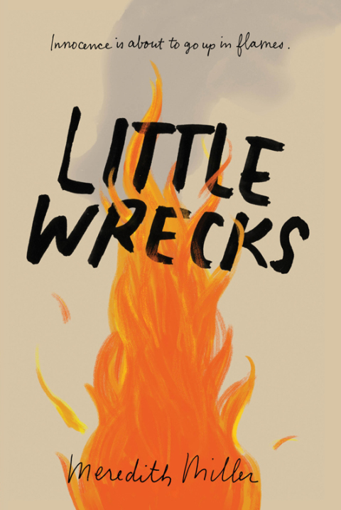 Book Little Wrecks free